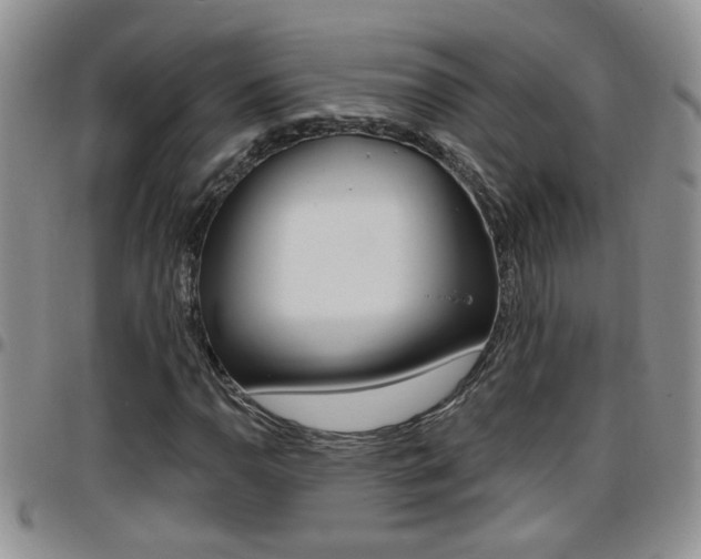 X0000096191110200801181002