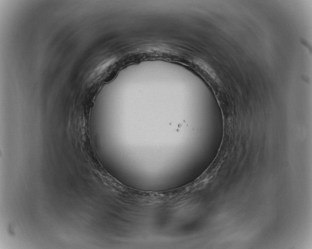 X0000096191111200801181002