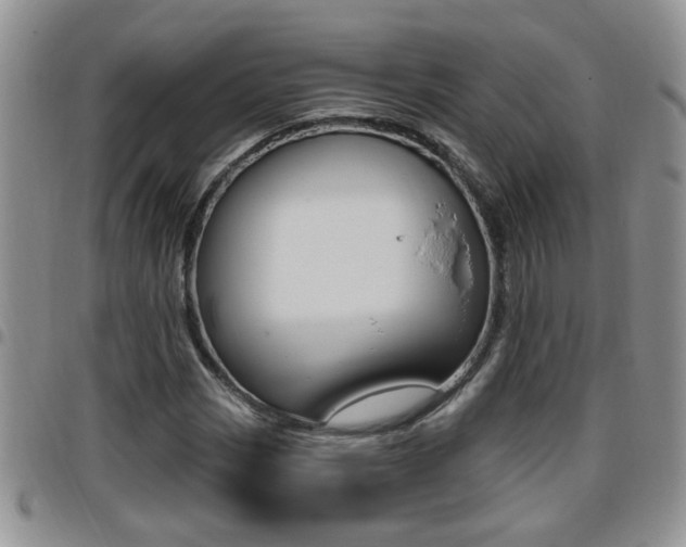 X0000096191113200801181002