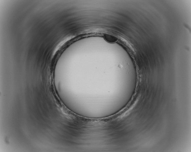X0000096191117200801181002