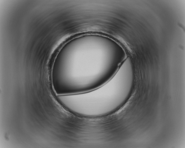 X0000096191118200801181002