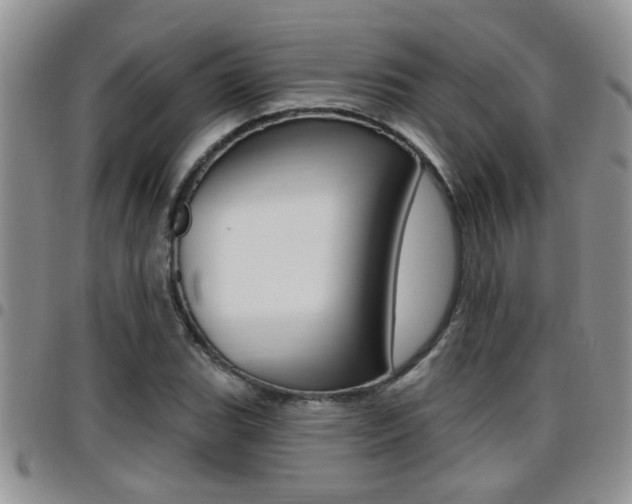 X0000096191119200801181002