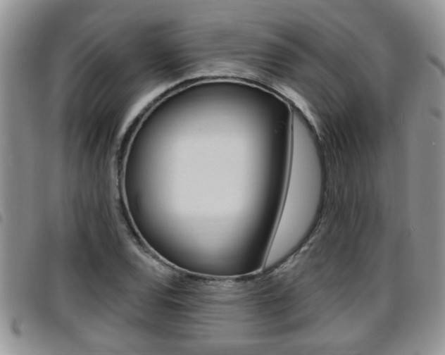 X0000096191120200801181002