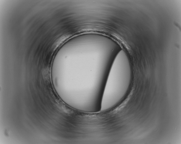X0000096191121200801181002