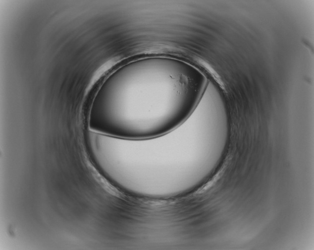 X0000096191122200801181002