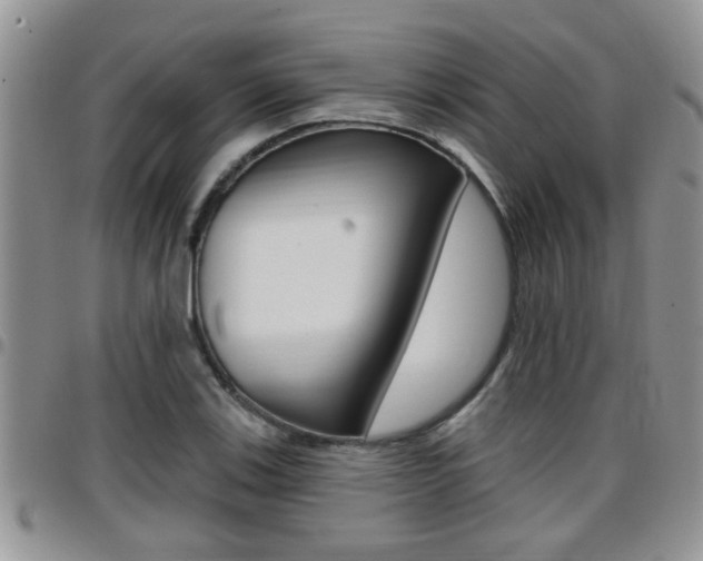 X0000096191123200801181002