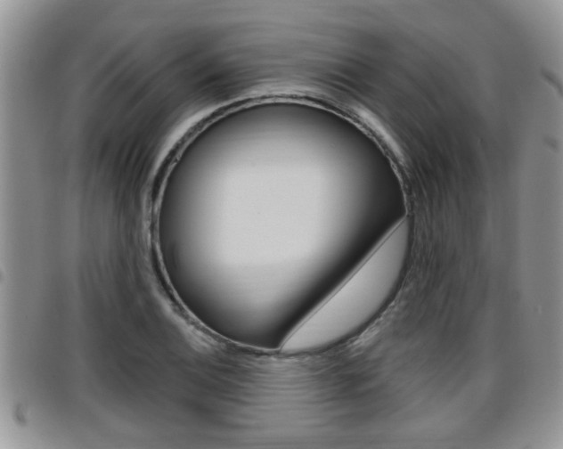 X0000096191124200801181002