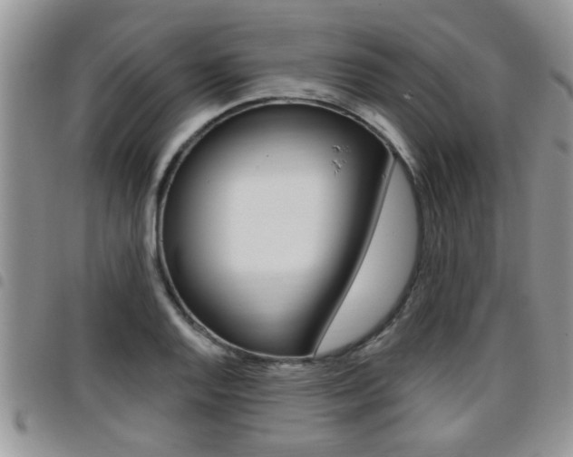 X0000096191128200801181002