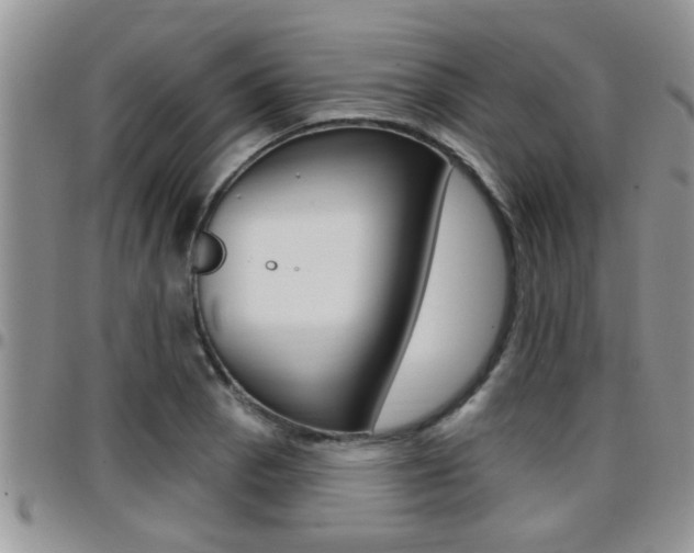 X0000096191129200801181002