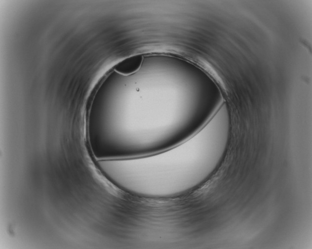 X0000096191132200801181002