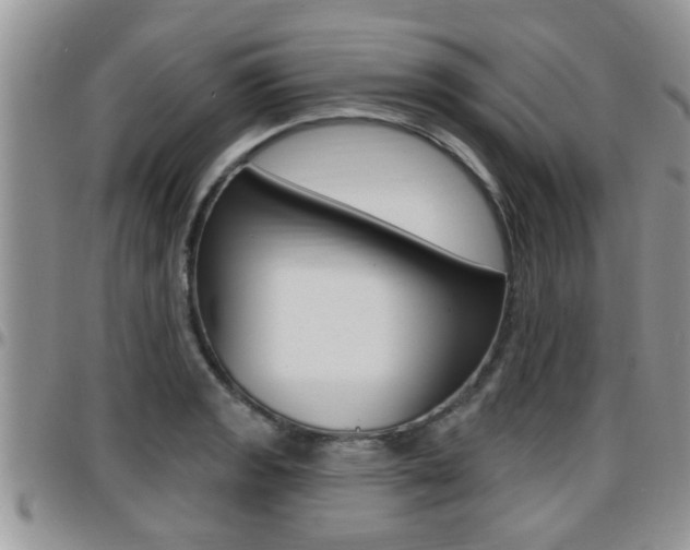 X0000096191133200801181002