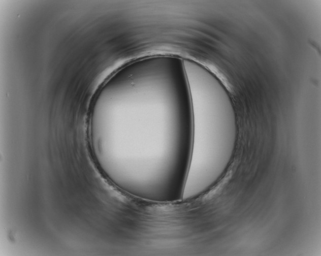 X0000096191134200801181002