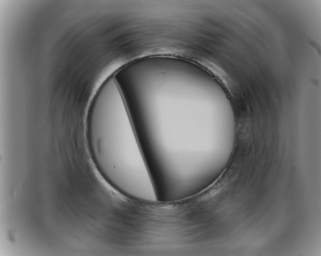 X0000096191135200801181002