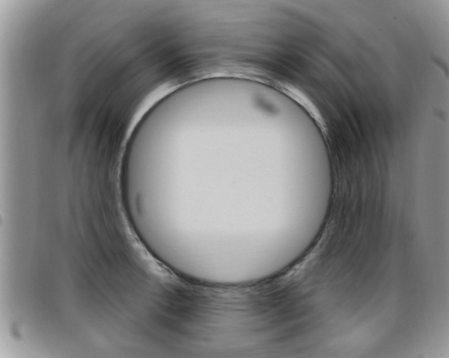 X0000096191138200801181002