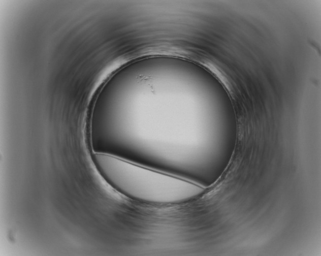 X0000096191139200801181002