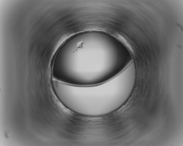 X0000096191140200801181002