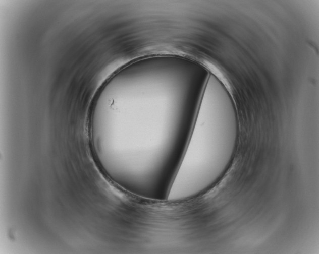 X0000096191141200801181002