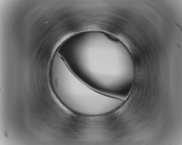 X0000096191142200801181002