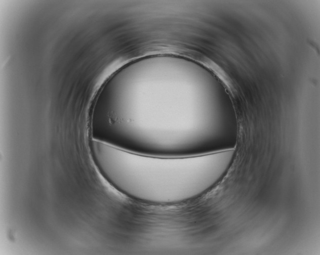 X0000096191143200801181002