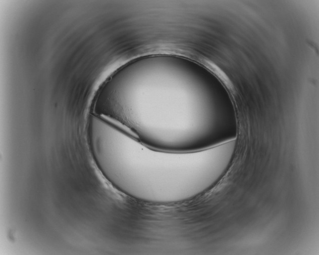 X0000096191144200801181002
