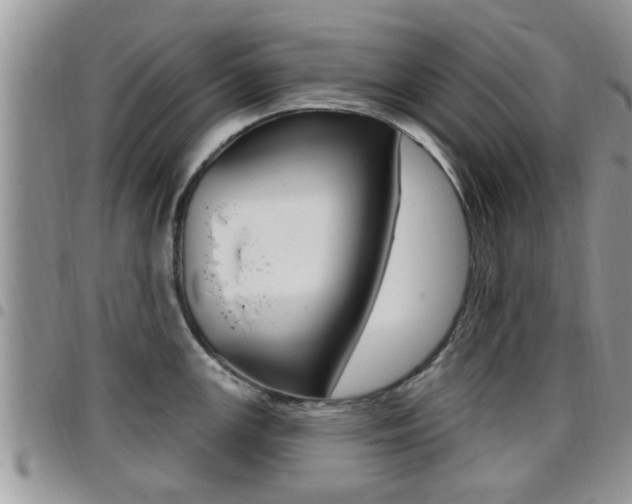 X0000096191147200801181002
