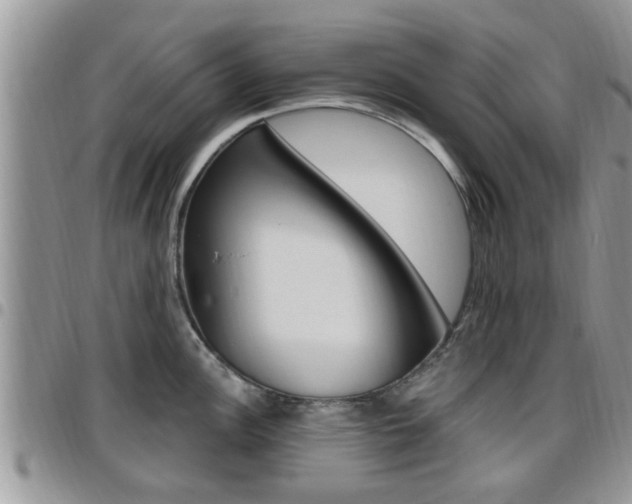 X0000096191148200801181002