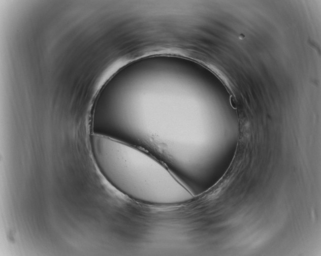 X0000096191151200801181002