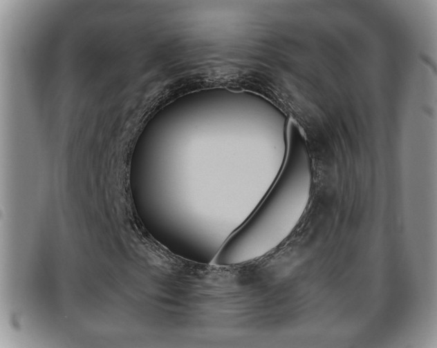 X0000096191153200801181002