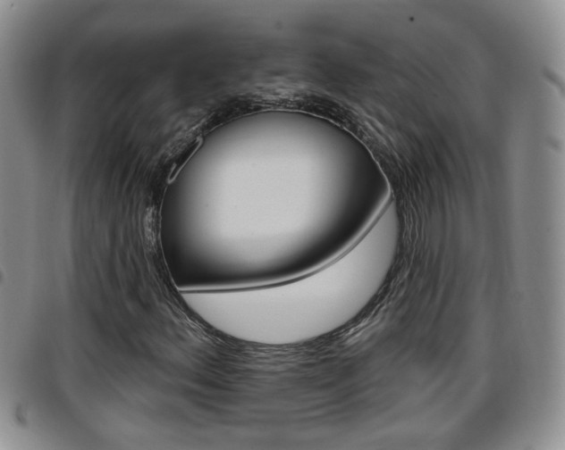 X0000096191156200801181002