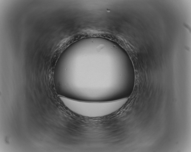 X0000096191157200801181002