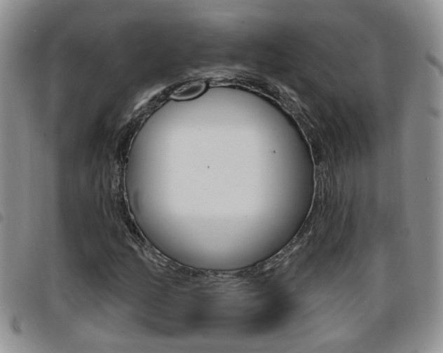 X0000096191158200801181002