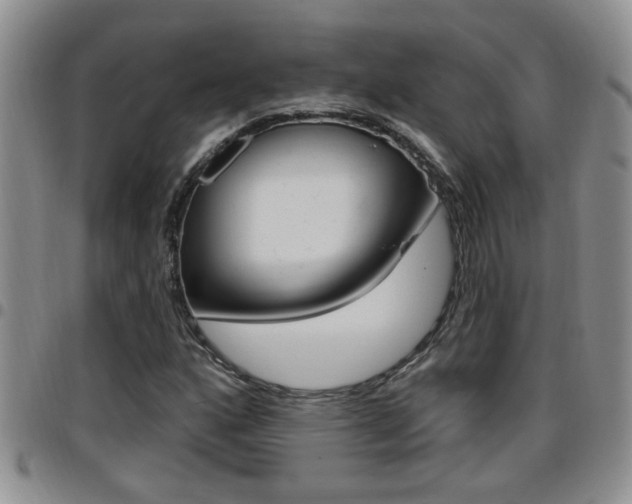 X0000096191160200801181002