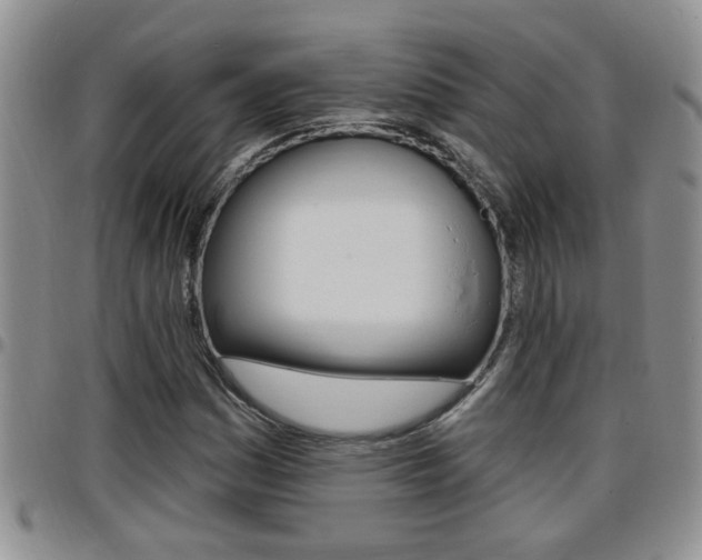 X0000096191161200801181002