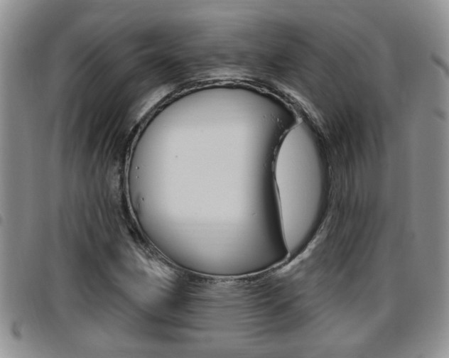 X0000096191162200801181002