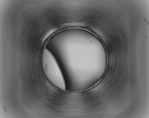 X0000096191163200801181002