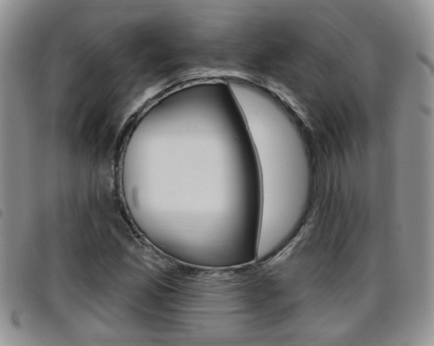 X0000096191165200801181002