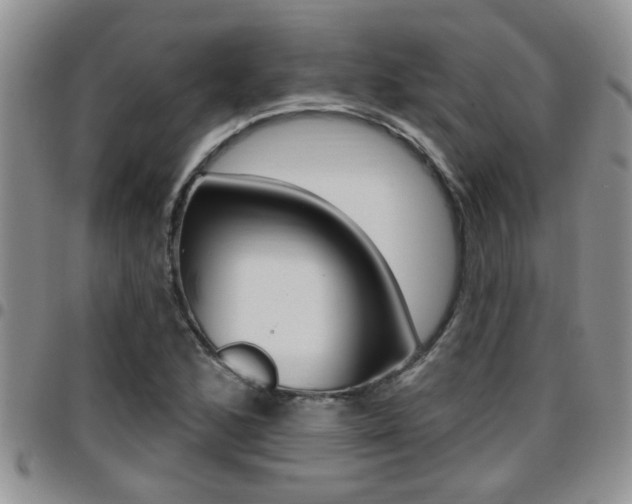 X0000096191168200801181002