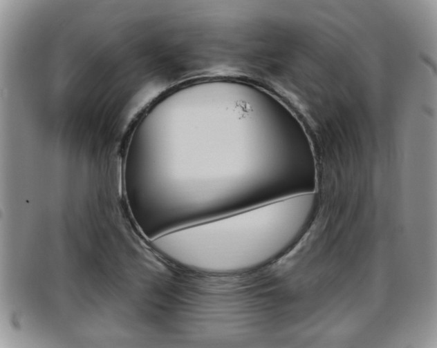 X0000096191171200801181002