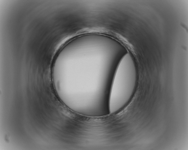X0000096191174200801181002