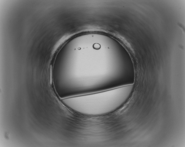 X0000096191175200801181002