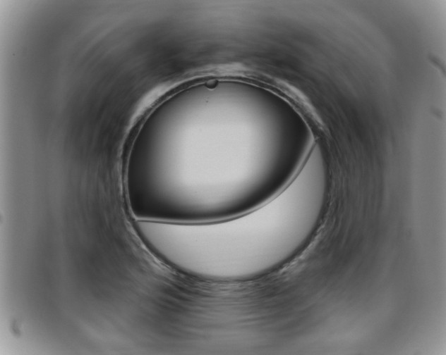 X0000096191176200801181002