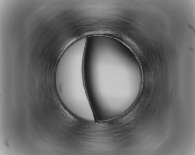 X0000096191177200801181002