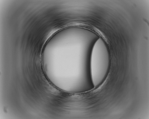 X0000096191178200801181002