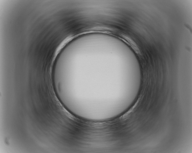 X0000096191180200801181001