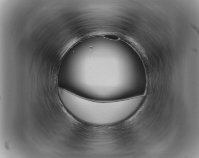 X0000096191185200801181001