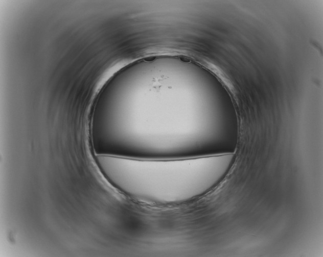 X0000096191187200801181001