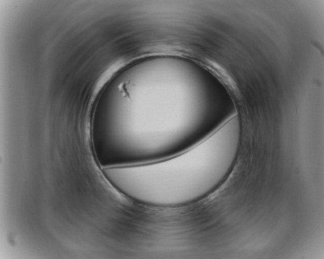 X0000096191188200801181001