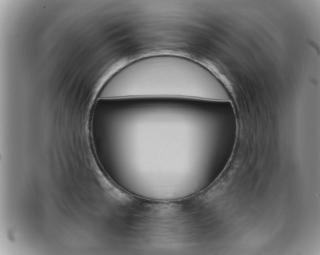 X0000096191189200801181001