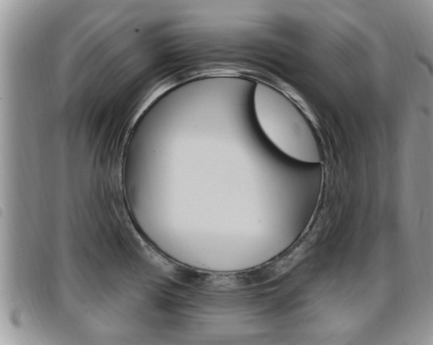 X0000096191194200801181001