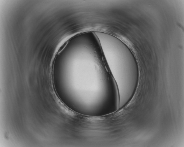 X0000096191200200801181001